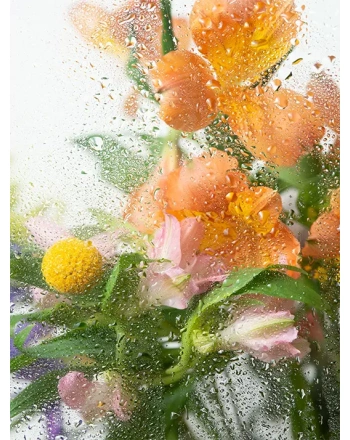 View of flowers through condensed