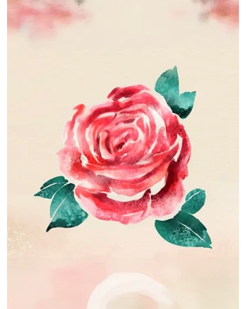Watercolor red rose flower