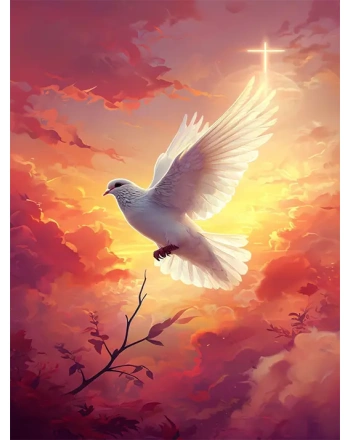 White Dove in Sunset Sky