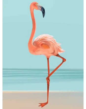 pink flamingo